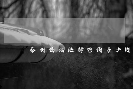泰州侵权法律咨询多少钱 泰州侵权法律咨询多少钱