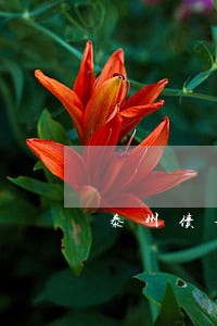 泰州债务律师咨询电话 泰州债务律师咨询电话