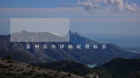 泰州债务律师收费标准 泰州债务律师收费标准