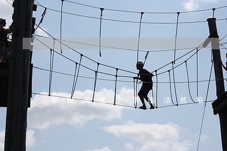 泰州凤凰小学违法抓拍 泰州凤凰小学违法抓拍