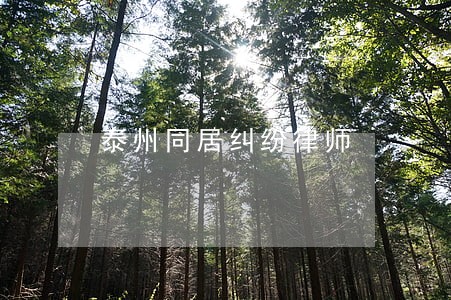 泰州同居纠纷律师