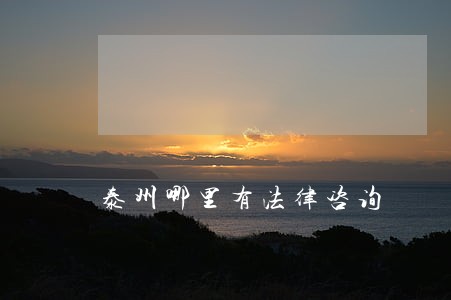 泰州哪里有法律咨询 泰州哪里有法律咨询