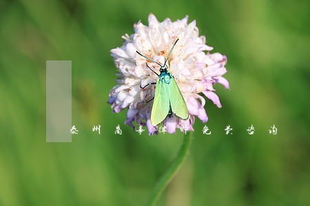 泰州商事律师免费咨询 泰州商事律师免费咨询