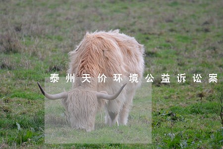 泰州天价环境公益诉讼案评析 泰州天价环境公益诉讼案评析