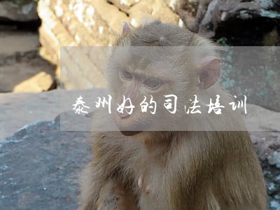 泰州好的司法培训