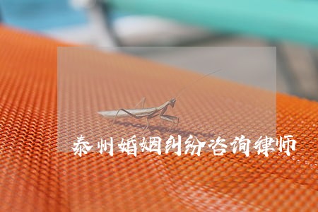 泰州婚姻纠纷咨询律师 泰州婚姻纠纷咨询律师