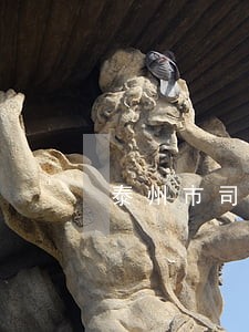 泰州市司法林政 泰州市司法林政