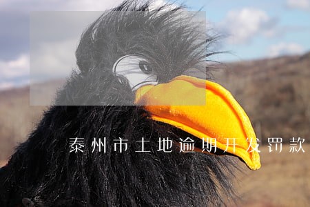 泰州市土地逾期开发罚款 泰州市土地逾期开发罚款