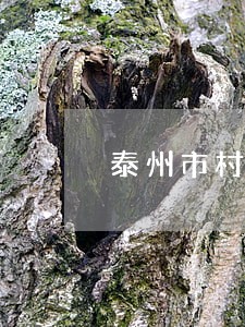 泰州市村社区法律顾问 泰州市村社区法律顾问