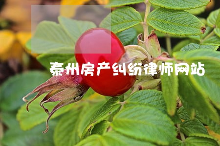 泰州房产纠纷律师网站 泰州房产纠纷律师网站
