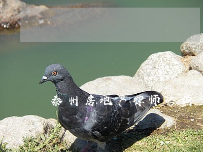 泰州房地产律师咨询 泰州房地产律师咨询