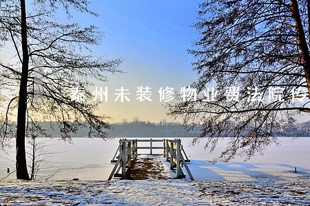 泰州未装修物业费法院传票