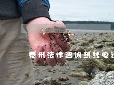 泰州法律咨询热线电话 泰州法律咨询热线电话
