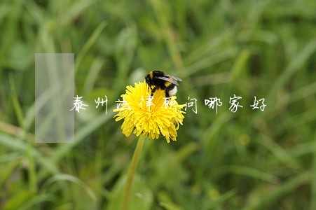 泰州法律顾问哪家好