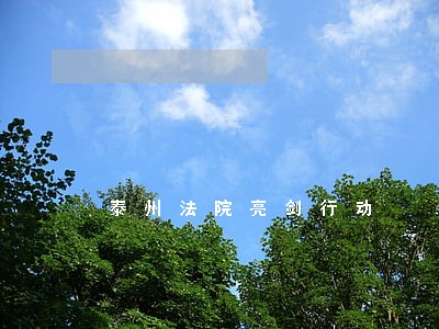泰州法院亮剑行动