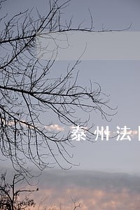 泰州法院执行工作 泰州法院执行工作
