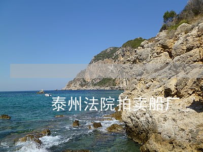 泰州法院拍卖船厂 泰州法院拍卖船厂