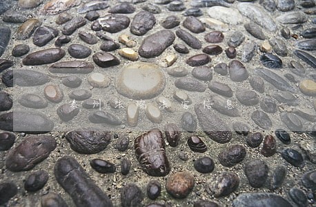泰州法院法官信息
