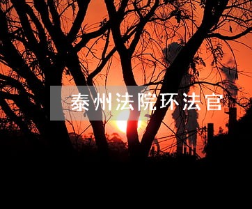 泰州法院环法官 泰州法院环法官
