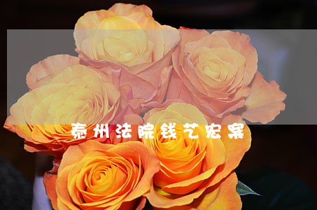泰州法院钱艺宏案