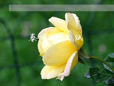 泰州法院面试