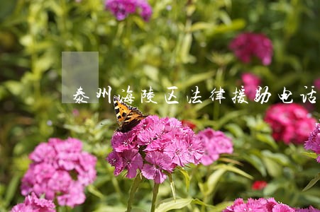 泰州海陵区法律援助电话