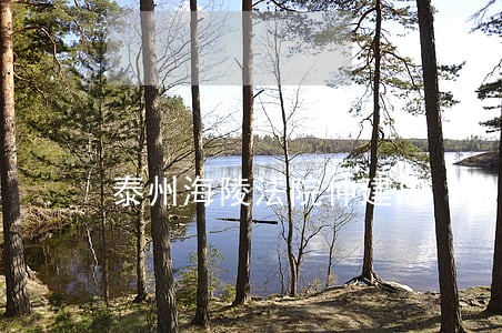 泰州海陵法院仲建忠