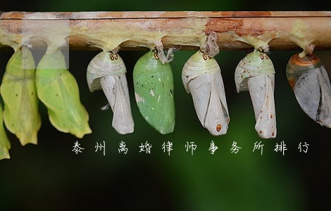 泰州离婚律师事务所排行 泰州离婚律师事务所排行