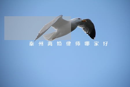 泰州离婚律师哪家好 泰州离婚律师哪家好