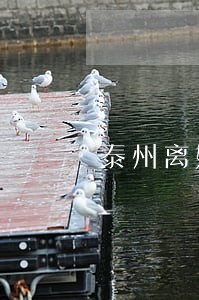 泰州离婚律师多少钱 泰州离婚律师多少钱