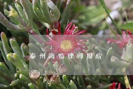 泰州离婚律师报价 泰州离婚律师报价