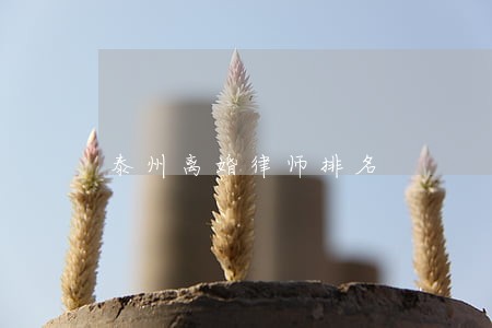 泰州离婚律师排名 泰州离婚律师排名