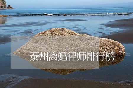 泰州离婚律师排行榜 泰州离婚律师排行榜