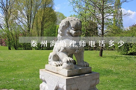 泰州离婚律师电话多少 泰州离婚律师电话多少