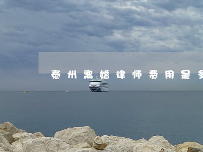泰州离婚律师费用是多少 泰州离婚律师费用是多少