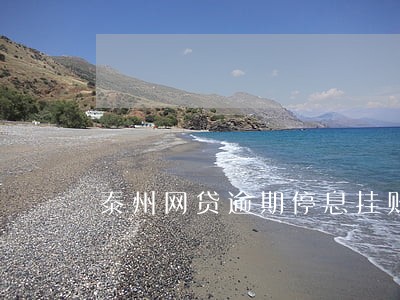 泰州网贷逾期停息挂账申请条件