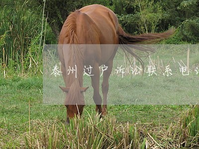 泰州过户诉讼联系电话