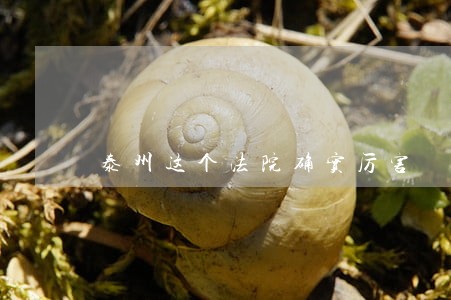 泰州这个法院确实厉害 泰州这个法院确实厉害