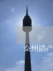 泰州遗产继承律师咨询 泰州遗产继承律师咨询
