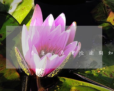 泰康人寿保险逾期如何激活 泰康人寿保险逾期如何激活