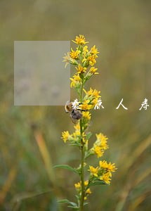 泰康人寿保险逾期怎么办 泰康人寿保险逾期怎么办