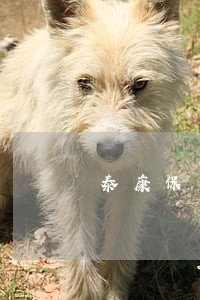 泰康保单贷款逾期一天后果 泰康保单贷款逾期一天后果