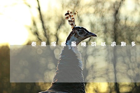 泰康保险最晚可以逾期多久 泰康保险最晚可以逾期多久