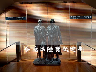 泰康保险贷款逾期 泰康保险贷款逾期