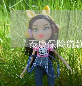 泰康保险贷款逾期了 泰康保险贷款逾期了