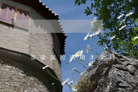 泰康保险逾期半个月