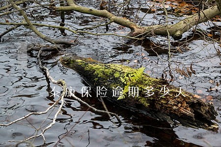 泰康保险逾期多少天 泰康保险逾期多少天