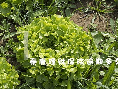 泰康理财保险逾期多久 泰康理财保险逾期多久