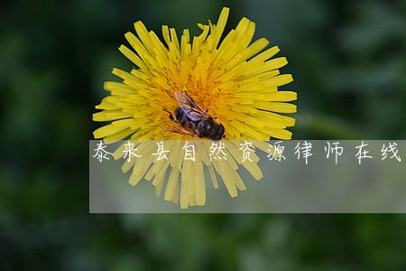 泰来县自然资源律师在线免费咨询 泰来县自然资源律师在线免费咨询