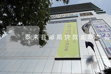泰来县邮局贷款逾期怎么查款 泰来县邮局贷款逾期怎么查款